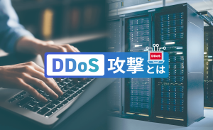 DDoS攻撃とは？攻撃手法や被害事例、対策について解説
